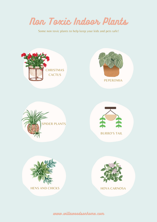Indoor Plant Guide (non toxic)